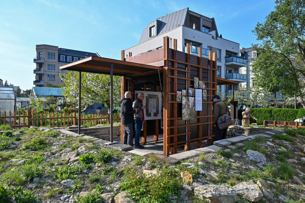 NANA PETZET: WACHSTUMSBERICHT
Recherchen und Beobachtungen im Forschungsgarten HARMAS KGV, Foto: Anja Schneider 2023