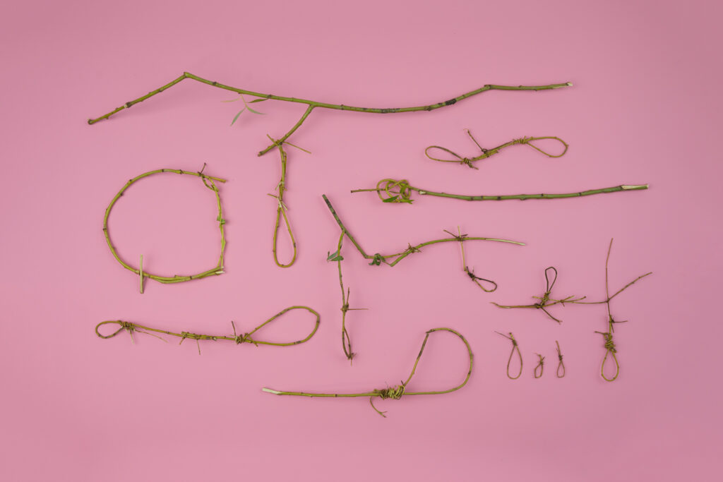 Useful knots, 2020, Sourcebook no 36, photography print