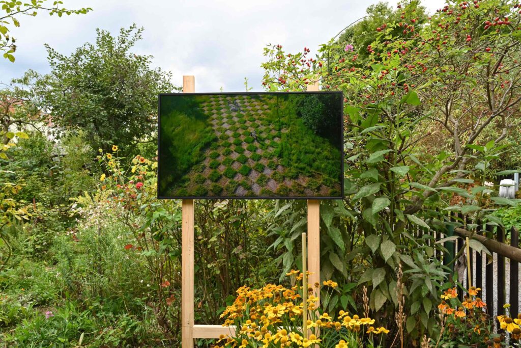 Kunsthaus Dresden, Gartenkonzerte, Musik zwischen Himmel und Erde, Flora I und II, Dresden