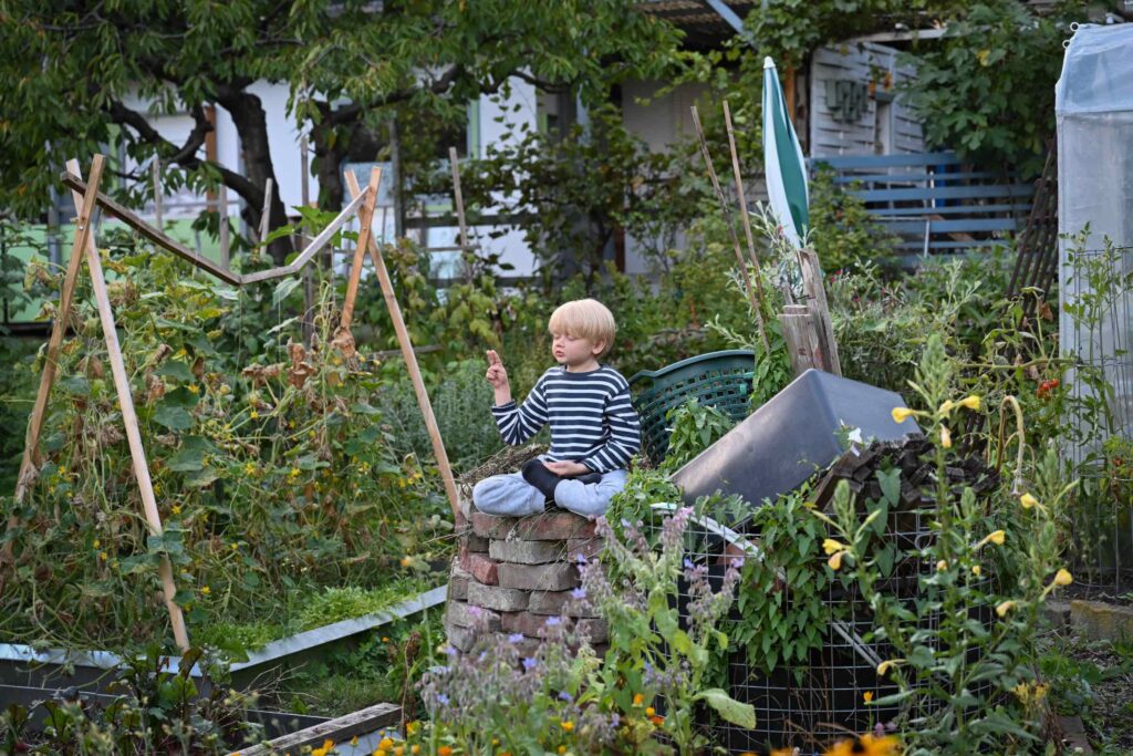 Kunsthaus Dresden, Gartenkonzerte, Musik zwischen Himmel und Erde, Flora I und II, Dresden