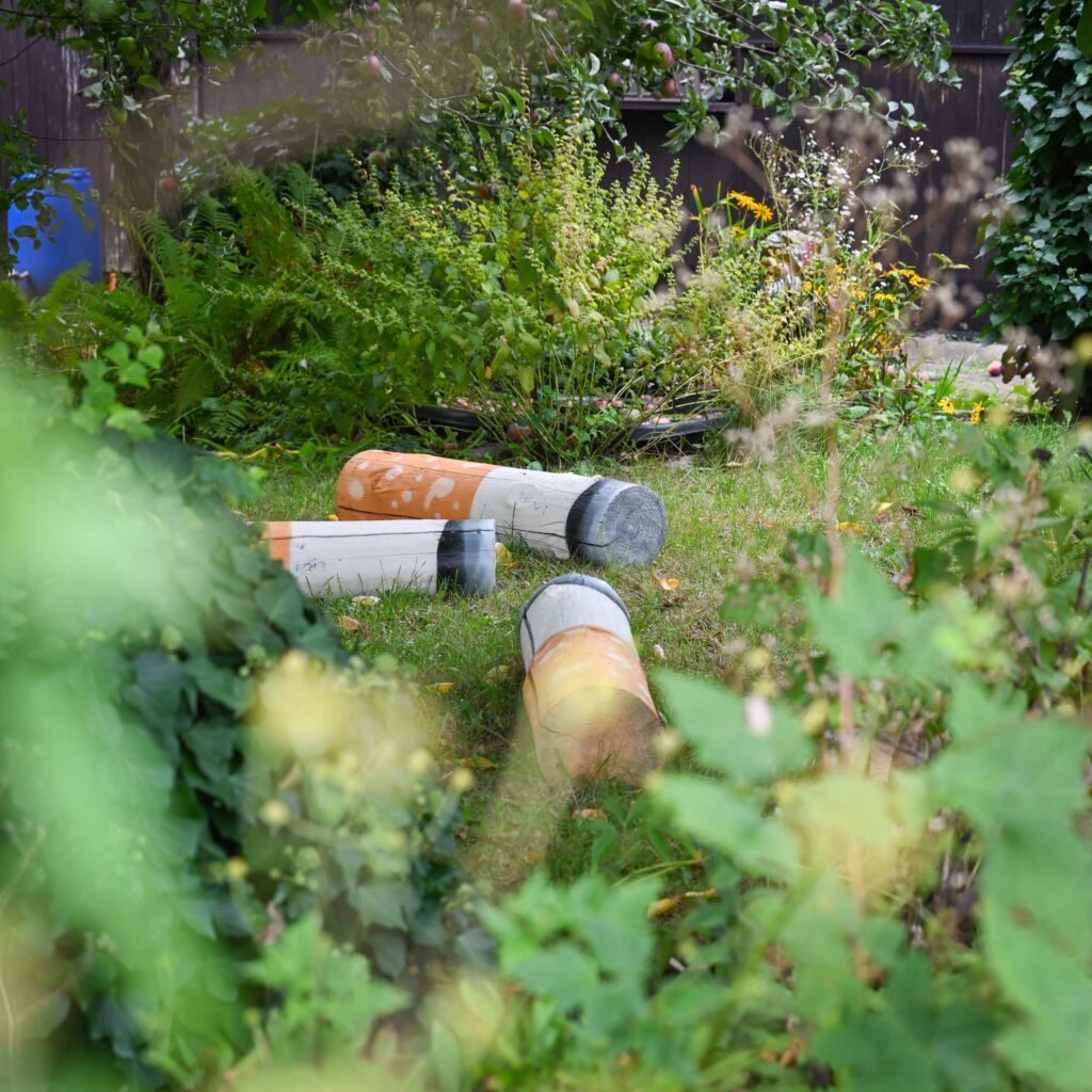 Kunsthaus Dresden, Gartenkonzerte, Musik zwischen Himmel und Erde, Flora I und II, Dresden