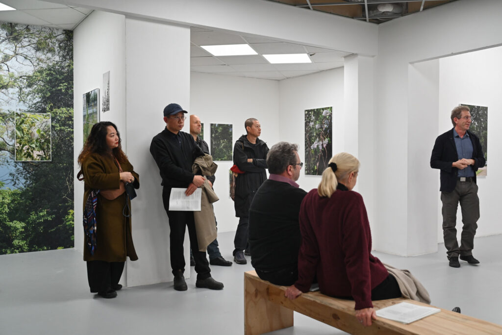 Franziska Klose, Cohabitat Stadt, Galerie Ursula walter, Dresden