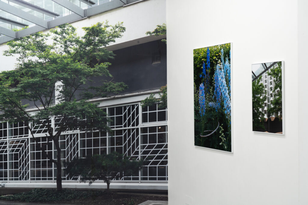Cohabitat Stadt, Galerie Ursula Walter 2025