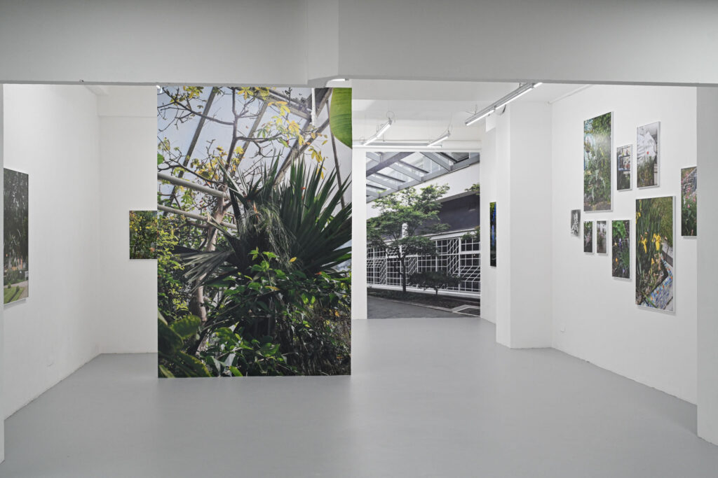 Franziska Klose, Cohabitat Stadt, Galerie Ursula walter, Dresden