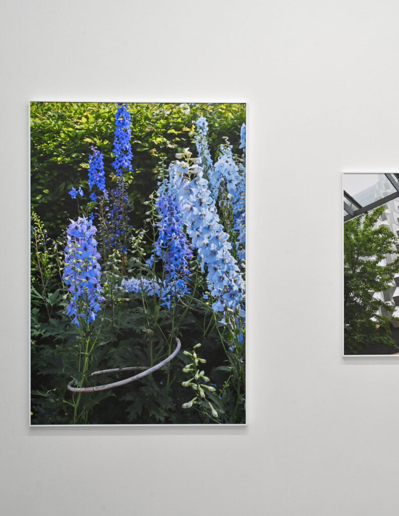 Franziska Klose, Cohabitat Stadt, Galerie Ursula walter, Dresden